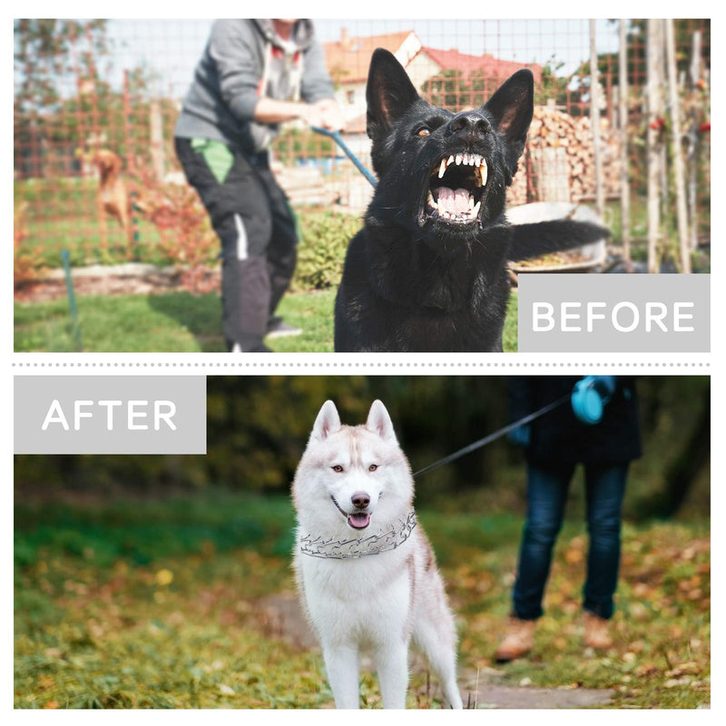 Dog Prong Collar, Ultra-Plus Chrome Plated Training Collar with Quick Release Clip for Dogs, Adjustable Pet Pinch Collar with Silver Plating for Small Medium Large Dogs (M) Metal - PawsPlanet Australia