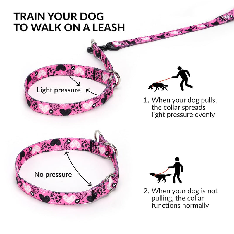 Dog Collar and Leash Set, Slip Collar with Stop Ring, No Pull Martingale Collar for Dogs, for Small, Medium, Large Dogs (NO3, M) NO3 - PawsPlanet Australia
