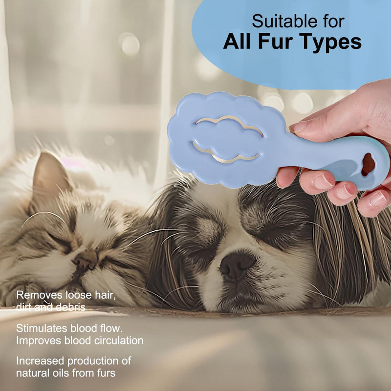 Cloud Shape Small Dog Grooming Brush - Soft Bristle Brush for Gentle Detangling & Massage - Ideal for Maltese, Shih Tzus, Yorkies, and Puppies - Portable & Durable Design, Blue - PawsPlanet Australia