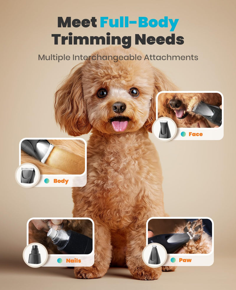 oneisall Dog Clippers & Paw Trimmer 4 in 1 Grooming Kit, Dog Grooming Clippers with LED Light for Full-Body Grooming, Cordless Silent Pet Shaver for Dogs Cats Blue 4-in-1 - PawsPlanet Australia