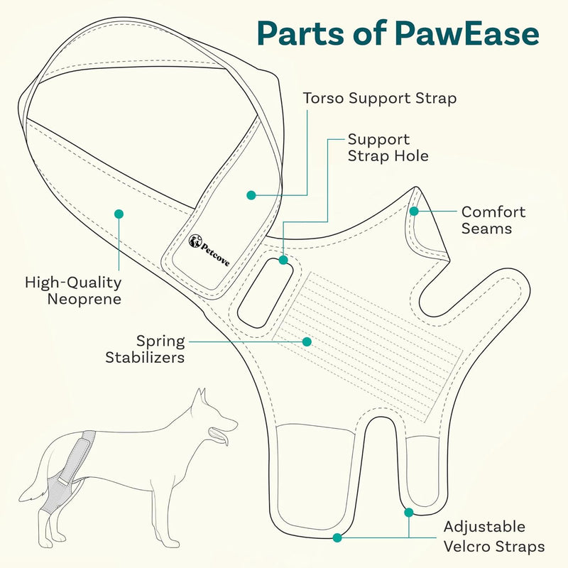 Dog Knee Brace Dog Knee Brace for Torn Acl Hind Leg Dog Leg Braces for Back Leg Size Medium Dog Acl Brace Hind Leg Acl Brace for Dogs Rear Leg Dog Knee Brace for Luxating Patella