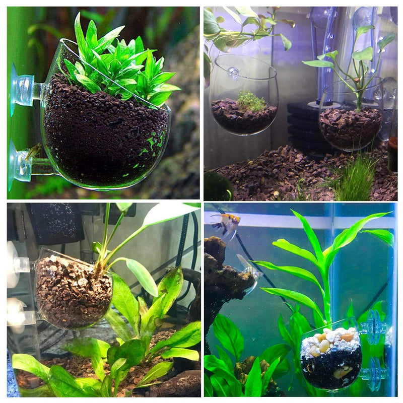 capetsma Crystal Glass Aquatic Plant Pot, Aquarium Aquatic Planter, Red Shrimp Live Plants Fish Tank Glass Holder with Suction Cups for Aquarium Aquascape Decoration… 2 pack - PawsPlanet Australia