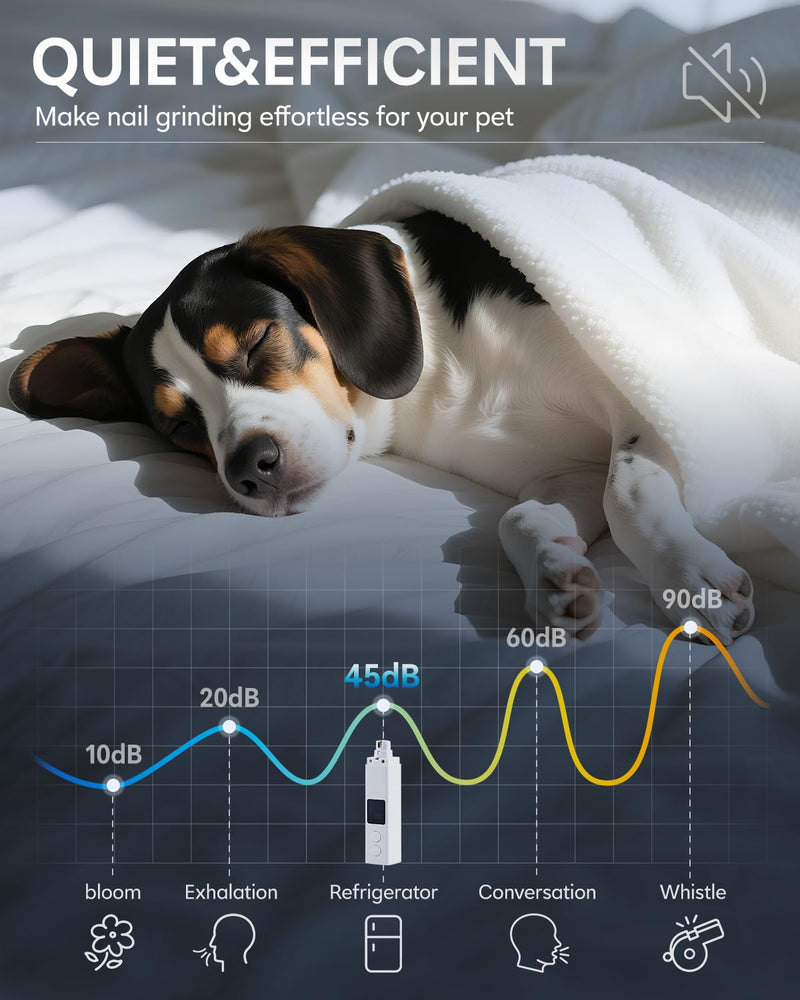 CLIPOP Dog Nail Grinder-Professional 4-Speed Electric USB Rechargeable Pet Nail Trimmer with LED Lights, Quiet/Low Vibration, Painless Paws Grooming & Smoothing for Small to Large Dogs/Cats (White) White - PawsPlanet Australia