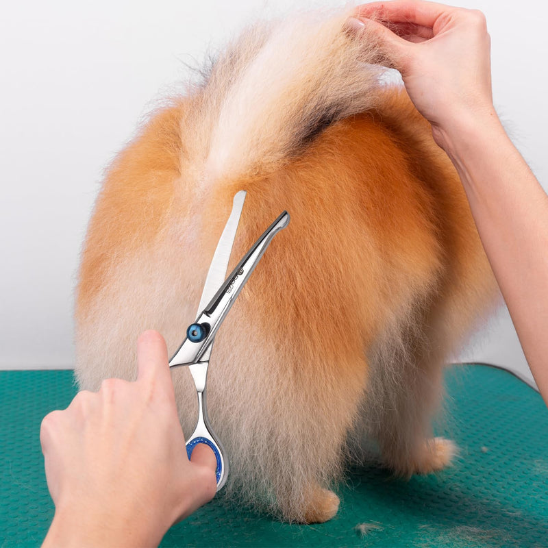 Professional Dog Grooming Scissors Kit Dog Scissors Set with Safety Round Tip, Curved Pet Cat Hair Cutting Trimming Grooming Shears, Also Include Thinning Scissor(Stainless Steel)(6 Inches)(2 Pieces)