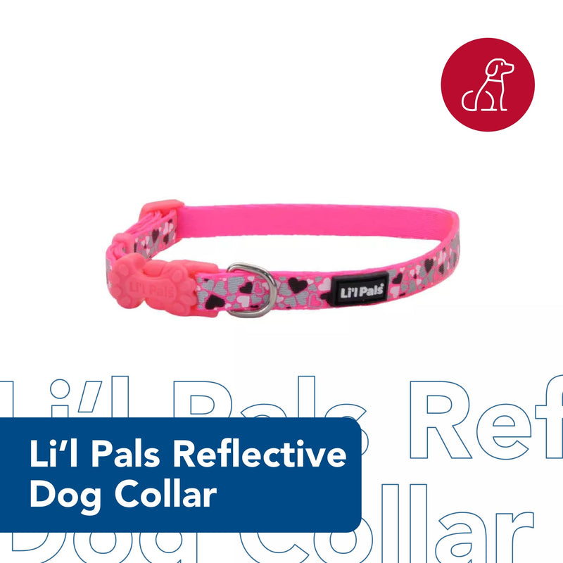Coastal Pet - Li’l Pals Reflective Dog Collar - Teal Orange Paws - 3/8” x 6"-8” 3/8" x 06"-08" (Pack of 1) - PawsPlanet Australia