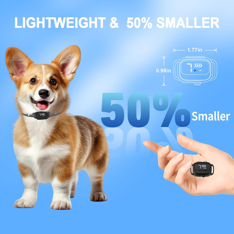 Anti-Bark Collar for Small Dogs, No Shock Anti Barking Collars with 7 Sensitivities, 3 Adjustable Modes Beep & Vibration, IP67 Waterproof - Effective & Humane Small Dogs Bark Collar-Black Black - PawsPlanet Australia
