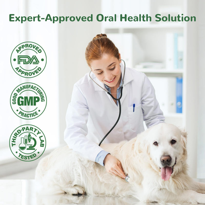 Dog Teeth Cleaning Powder, Dental Powder for Dogs Teeth Tartar Remove & Plaque Off, Fresh Breath for Dogs with Natural Plants Blend, Enzymes and Postbiotics, 300g - PawsPlanet Australia