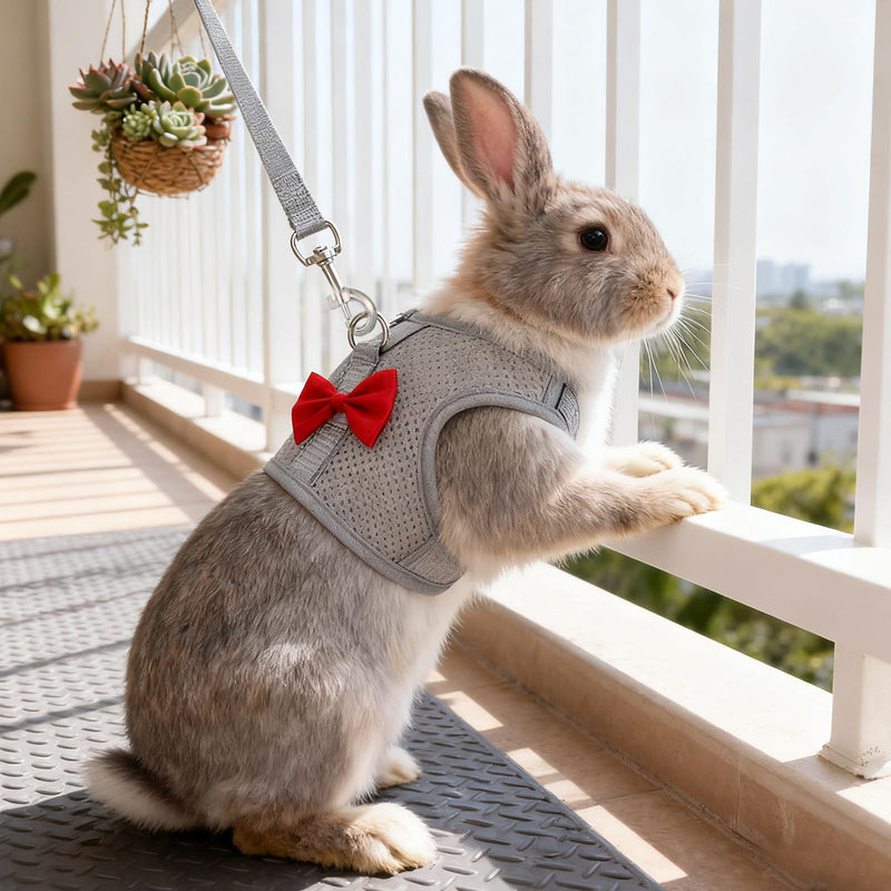 Rabbit Harness and Leash Set with a Cute Bow, Soft Mesh Vest-Style Carrier, Adjustable Rabbit Vest, Suitable for Rabbits, Kittens, Ferrets, Miniature Pigs, and Puppies, Gray Size M - PawsPlanet Australia