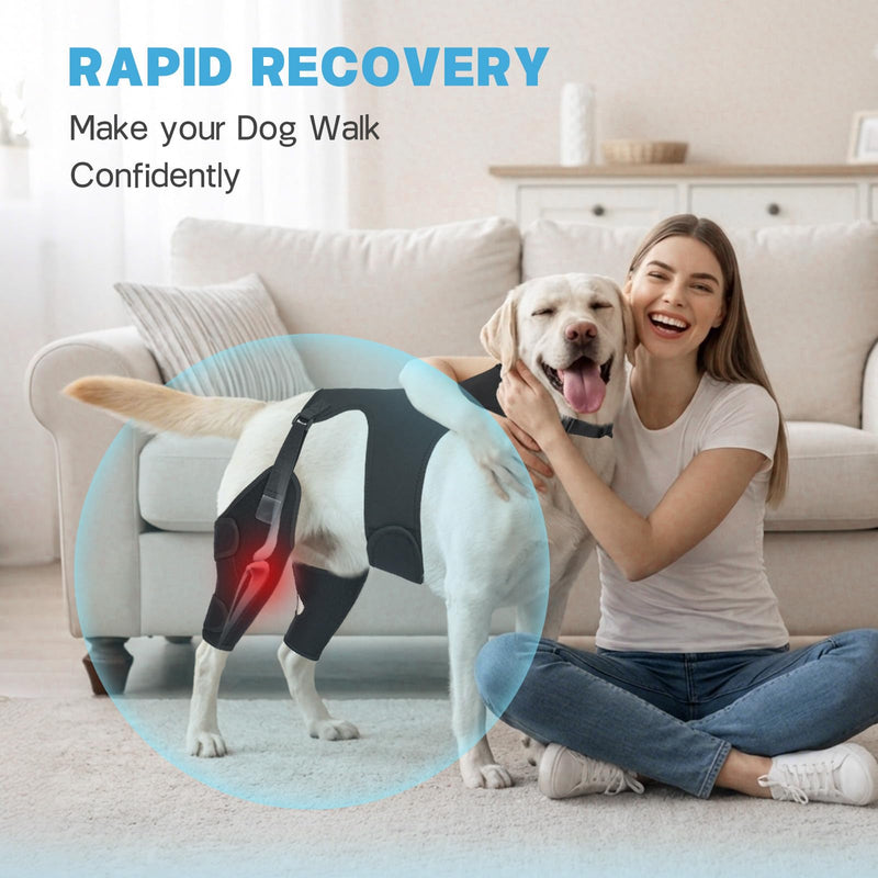 Dog Knee Braces for Back Leg, Adjustable Leg Brace with 2 Stabilizers, Hip Support to Reduces Pain, Ligament Injuries, ACL CCL & Luxating Patella for Small Medium Large Dogs, L-S