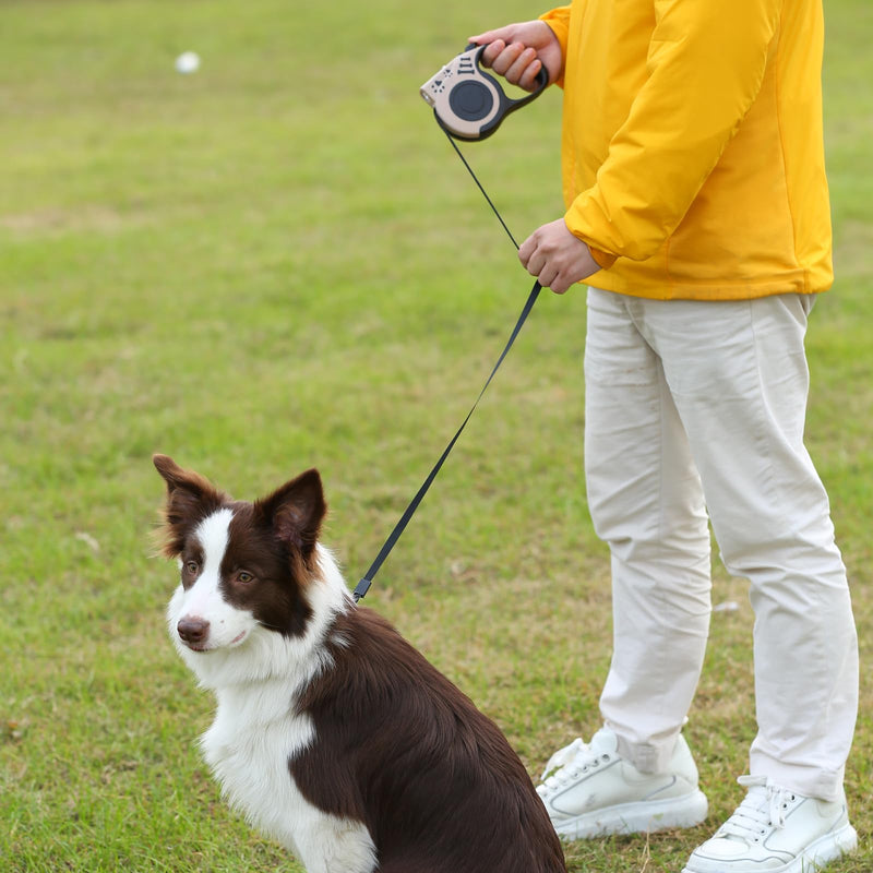 16FT Retractable Dog Leash with LED Flashlight for Night Walking, USB Rechargeable Hands-Free Leash for Small Medium Dogs, Automatic Locking & Extending, Beige - PawsPlanet Australia