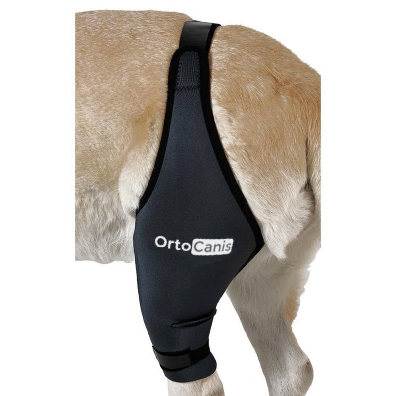 Ortocanis - Dog Knee Brace - for Right Hind Leg - Made of ARD Neoprene - for ACL Tear, Ligament Injuries, Patellar Luxation or Osteoarthritis - Size X-Small (8,3-9,4 ") Right Leg Size X-Small (8,3 - 9,4 ") - PawsPlanet Australia