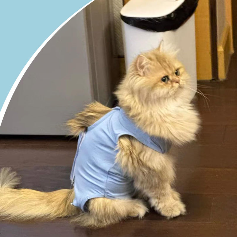 BFUZXY Cat Bodysuit After Surgical Recovery Suit, Cat Clothing for Cats, Kittens, One Piece, Breathable, Lick Protection for Abdominal Wounds, Castration Spay, Cat Body Surgery, Recovery Suit (S-Blue) S blue