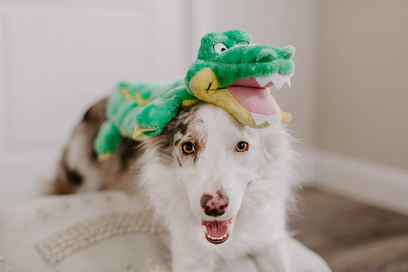 Outward Hound Squeaker Matz Plush Gator Dog Toy, XXL Squeaker Matz Gator 2X-Large (Pack of 1) - PawsPlanet Australia