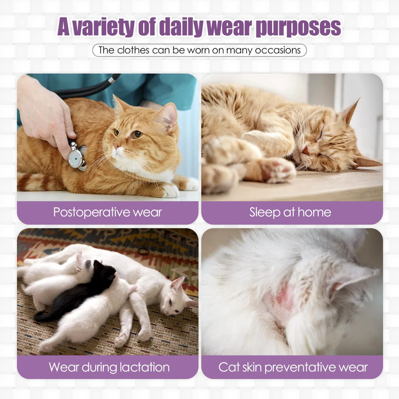 JOHNBOLIN Cat Surgery Recovery Suit - E-Collar Alternative Anti-Licking Spay/Neuter Bodysuit, Soft Pet Surgical Pajamas for Cats, Abdominal Wound Onesie (Purple, Medium) Purple