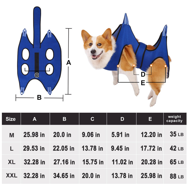Kkiimatt Dog Grooming Hammock,Pet Hammock Harness for Medium Dogs/Giant Cats, Nail Trimming with Clippers/File, Sling Wide Strap Sewed on Pet Restraint Bag, Blue Medium 40 LB Max/Blue M