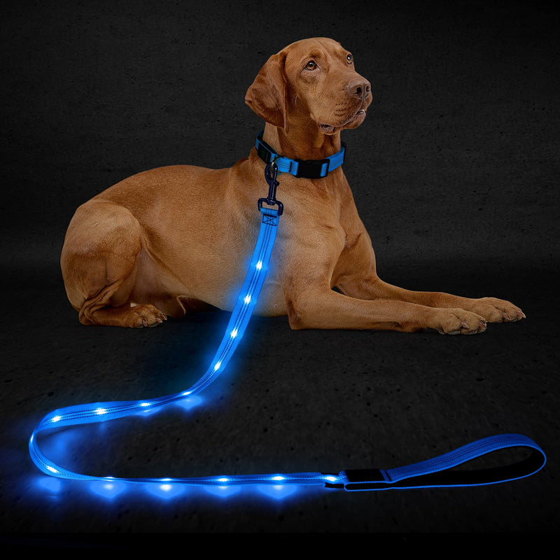 Light Up Dog Leash, 5 Ft LED Dog Lead Rechargeable Glowing Pet Leash with Soft Padded Handle, Safety Dog Lights for Night Walking (Blue) Blue - PawsPlanet Australia