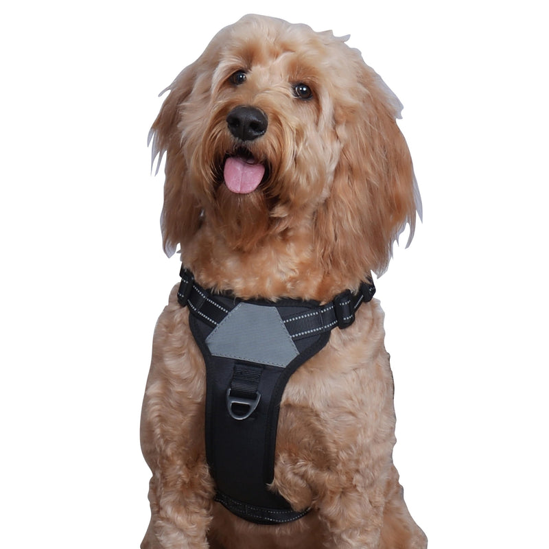 The North Star Dog Harness™ - Comfortable, Fully Adjustable, Designed to Reduce Pulling, Escape Resistant, Durable, fastens Easily and securely with Airtag Holder (Black/Grey, S) Black/Grey - PawsPlanet Australia