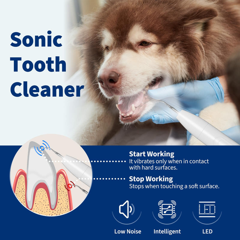 Dog Plaque and Tartar Remover,Ultrasonic Plaque Remover for Teeth with LED Light,3 Modes Low Noise Sonic Dog Tooth Cleaning Kit Tool for Pet Dental Care,White - PawsPlanet Australia