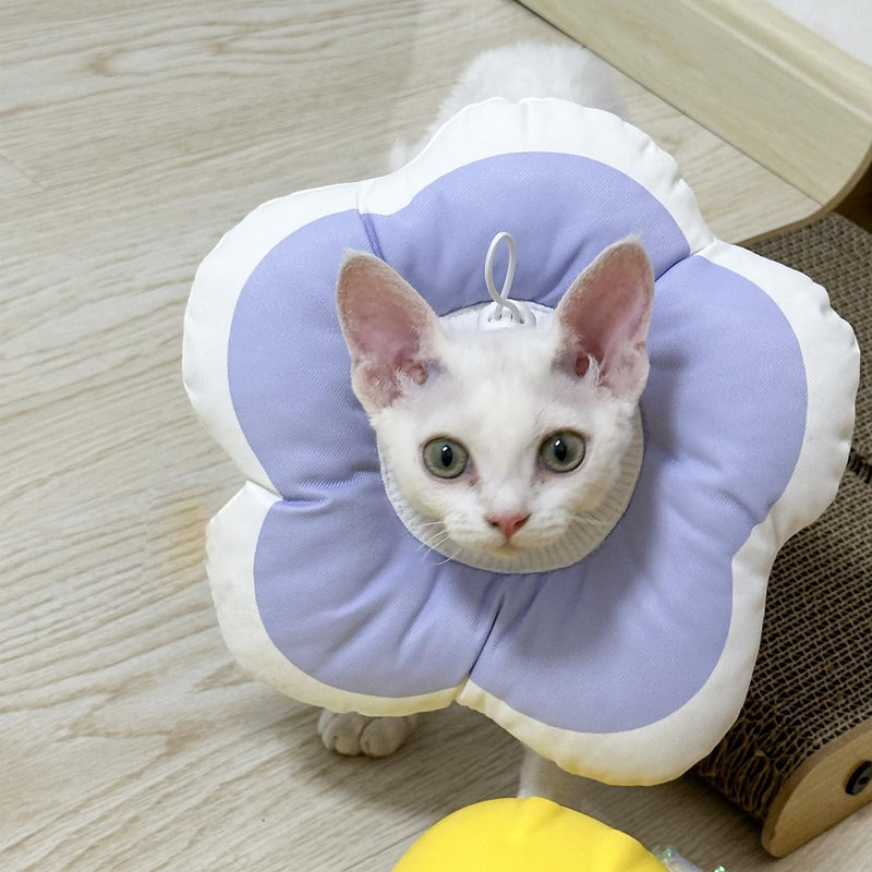 Cute Flower Cone, Anti-Splashing Water Soft E Collar for Cats After Surgery, Neck Pillow for Cozy Sleep and Anti-Licking, Donut Cone for Cats/Puppies to Take Photos (Pink, S) Pink