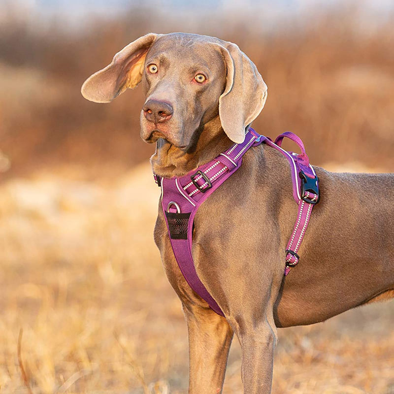Dog Harness No Pull Adjustable Reflective Step-in Soft Nylon For Small Large Pet TLH56512(M, Purple) M