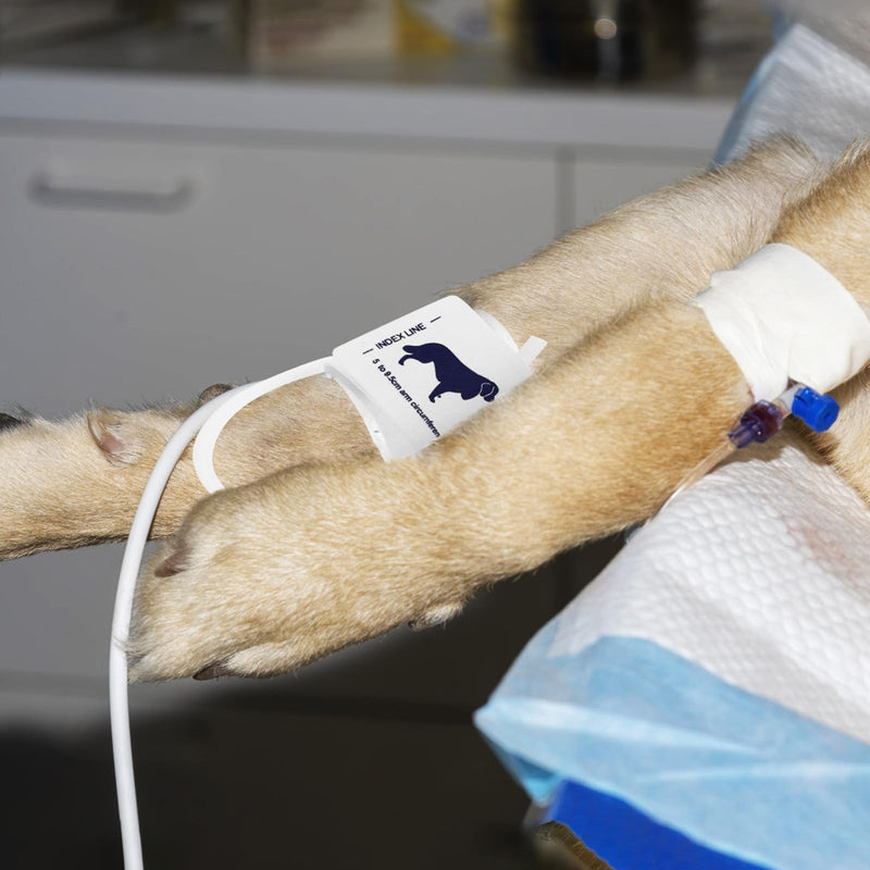 Blutdruckmanschette für Haustiere aus Vliesstoff Universelle Größe für Armumfang 5 9,5cm mit Vernünftiger Struktur und Leistung für Veterinärmedizinische Anwendung