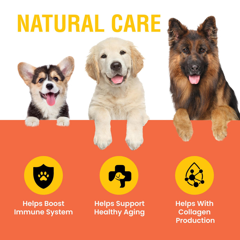 Vitamin C for Dogs, Helps Support Immune System, Vitamin C Liquid Supplement, Dog Immune Booster, Bacon Flavored, 8oz 8 Ounce