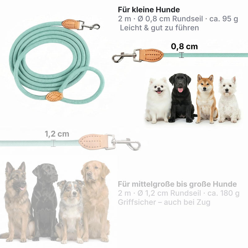 Dog Lead 2 m & 3 m - Robust Round Rope Rope for Small, Medium & Large Dogs, Reflective & Lightweight - Nylon Lead with Safety Carabiner & Leather Handles (2 m x 0.8 cm, Light Blue) lightblue 2m x 0.8cm