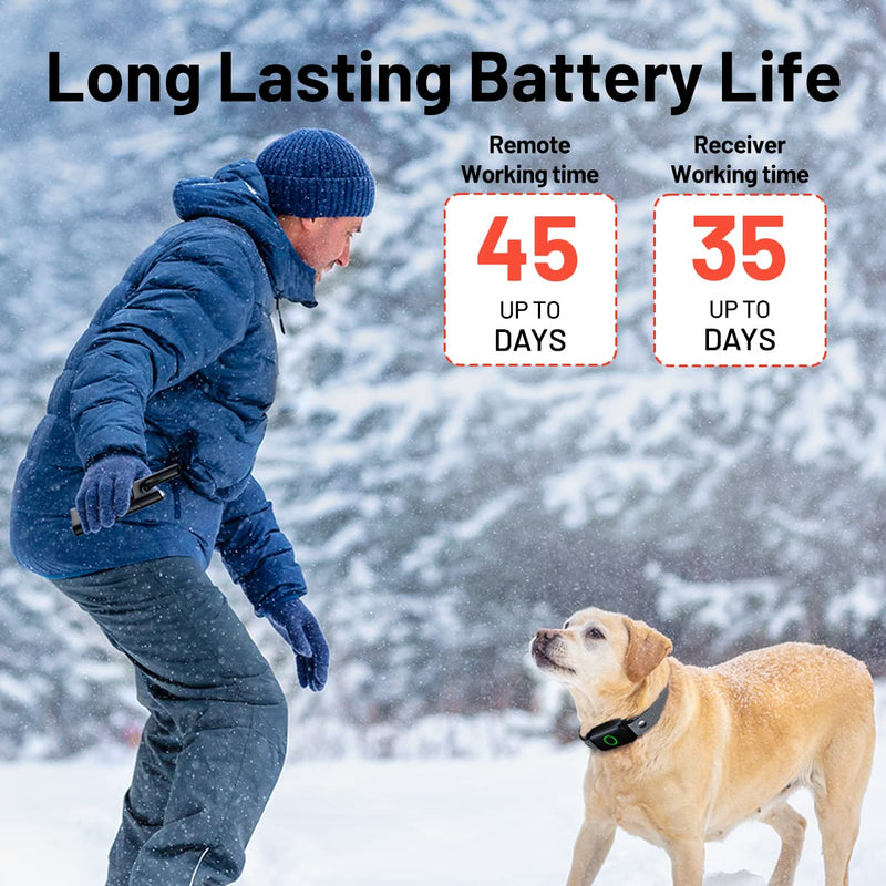 Shock Collar Dog Training Collar with Remote 3300ft Range Waterproof E Collar Rechargeable Electric Dog Shock Collar for Small Medium Large Dogs with Beep Vibration Shock and Light Dog Collar - PawsPlanet Australia