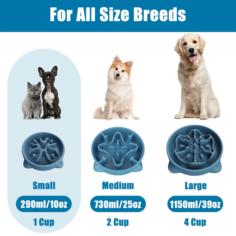 Slow Feeder Dog Bowls Small Breed, Dog Food Bowl Small Dog Anti-Choking Bloat Stop Puzzle Healthy Eating Bowl (Blue, 1 Cup) Blue - PawsPlanet Australia