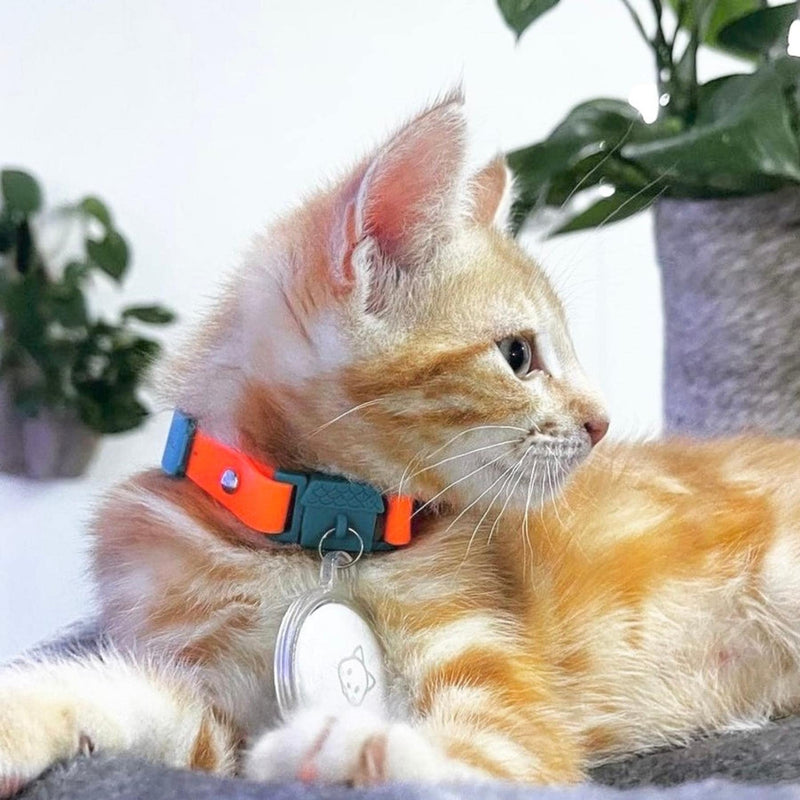 Tangerine Cat Collar with Bell. Cat Friendly Award Winner. Approved by Vets and Cat Experts. Breakaway Cat Collars Quick Release. Kitten Collar. Won't Rub Fur. Lightweight, Soft & Comfy Adult Tangerine - PawsPlanet Australia