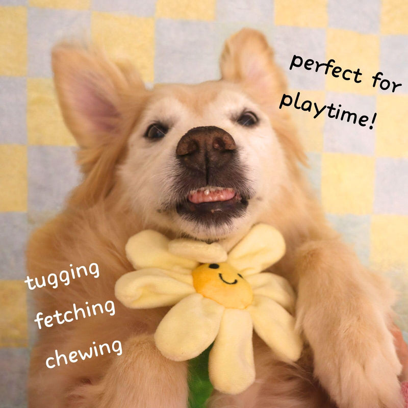 Interactive Dog Plush Toys, Crinkle Flower Dog Rope Toy, Puppy Chew Toys for Teething, Cute Dog Gift for Small and Medium Dogs - PawsPlanet Australia