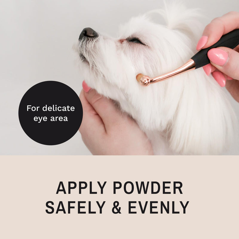 Eye Envy ProPowder Applicator Brush for Dogs and Cats | Use to safely and evenly apply Tear Stain Powder | Small | Washable superfine fiber hair | Long tapered bristles Small (Pack of 1) - PawsPlanet Australia