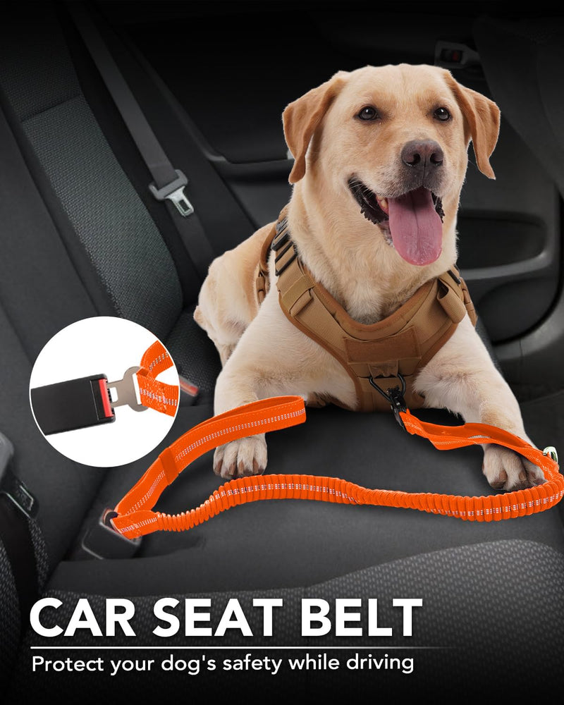 Joytale Tactical Dog Collar(17"-21") and Dog Leash Set, Shock Absorbing Bungee Dog Leash and Adjustable Strong Dog Collar with Handle for Large Dogs(Orange, L) - PawsPlanet Australia