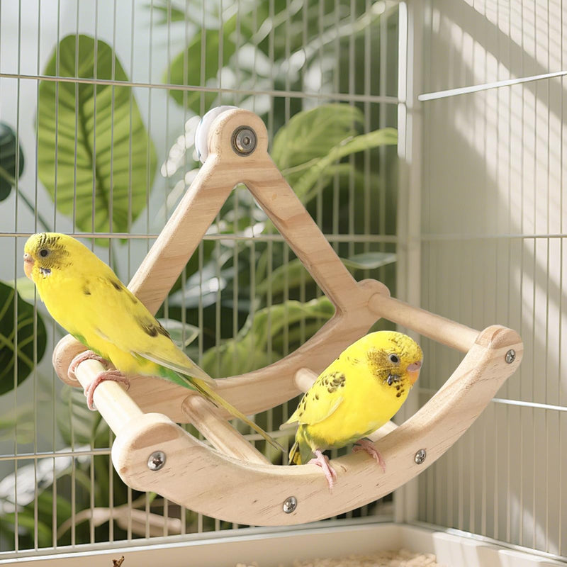 Bird Perch Toy,Wooden Rocking Perch Exercise Wheel, Interactive Bird Intelligence Puzzle for Animals Parrot,Green Cheeks, Baby Lovebird, Chinchilla, Budgie - PawsPlanet Australia