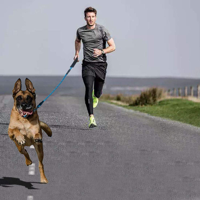 Sunglow 5 FT Strong Dog Leash with Comfortable Padded Handle and Highly Reflective Threads for Medium and Large Dogs (Black) Black - PawsPlanet Australia