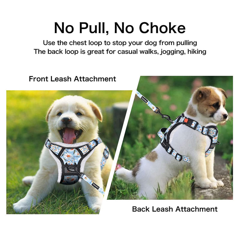 Petmolico Floral Dog Harness and Leash, No Pull Fleece Dog Harness with 2 Leash Clips and Easy Control Handle for Small Dogs, Small Daisy - PawsPlanet Australia