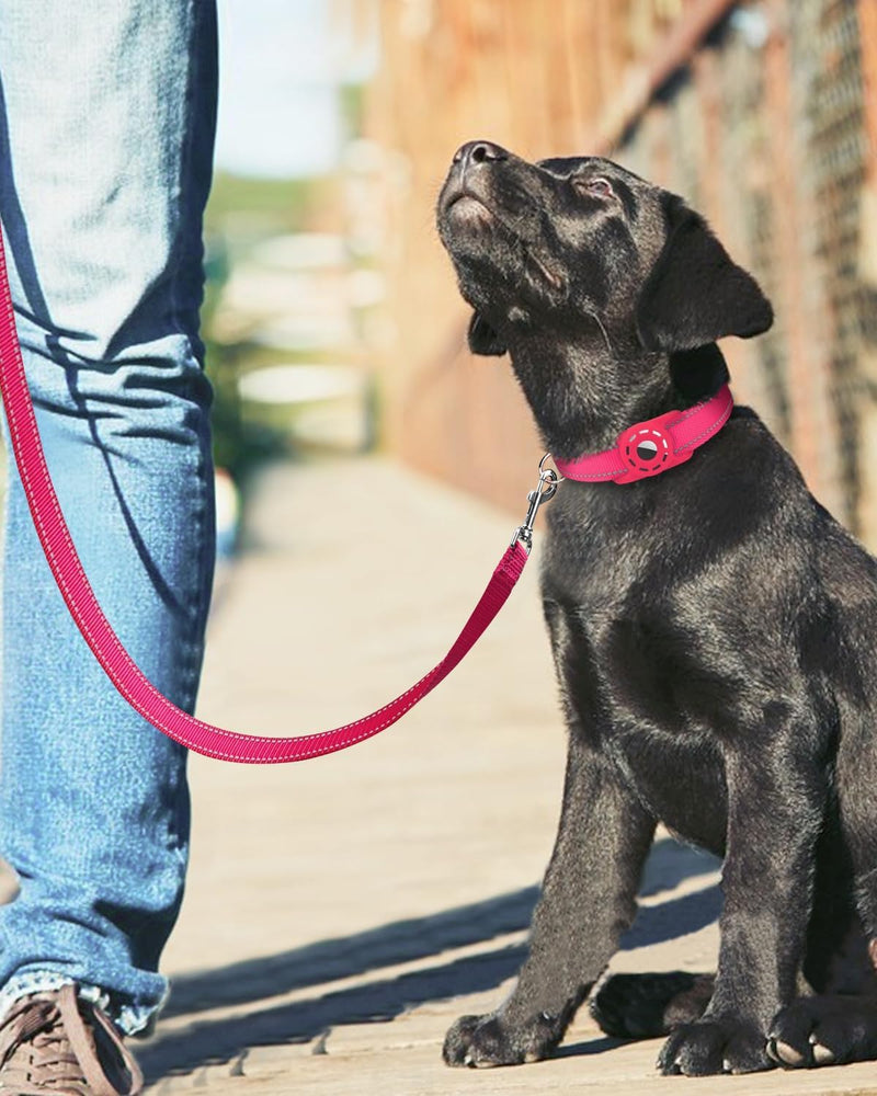 6FT Reflective Nylon Dog Leash with Soft Padded Handle for Walking, Running and Training, Supports Small Medium and Large Dogs (Hotpink, 3/4Inch Wide) 3/4"*6' Hot Pink - PawsPlanet Australia