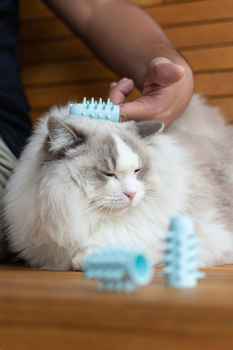 Furr&Purr Cat Brush Set for Indoor Cats - Grooming Tools: Face Scratcher, Calming Massager, and Scratching Pad (2-Pack, Made in the USA) 2 Pack - New - PawsPlanet Australia