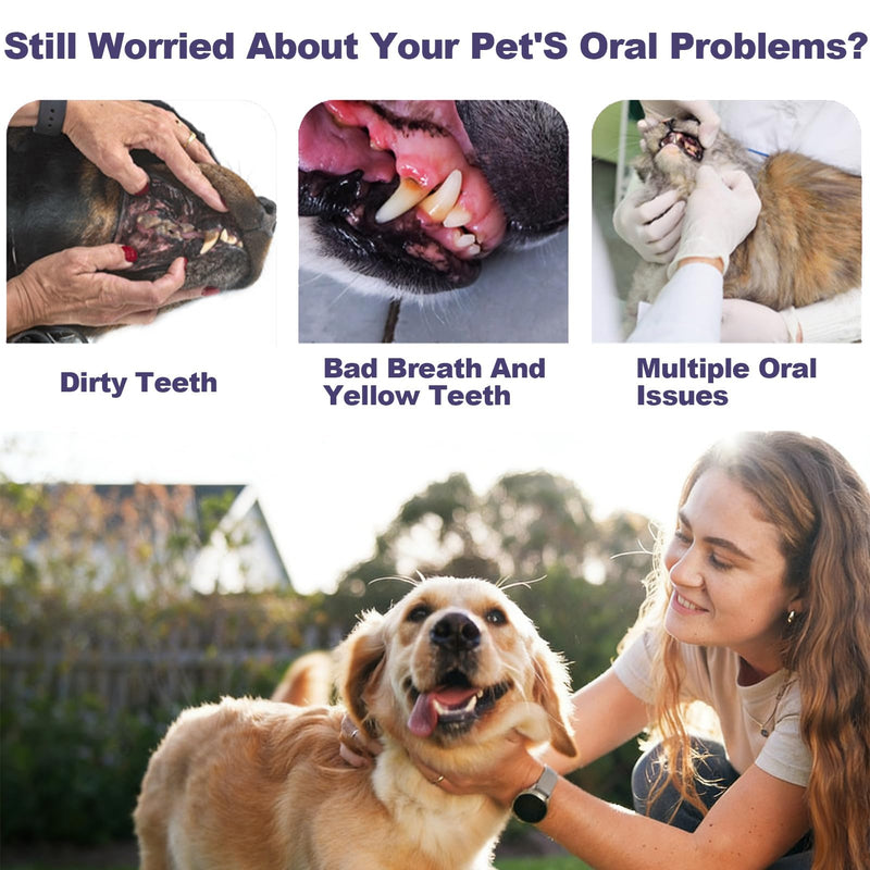 Dental care dog set, toothbrush for dogs and cats, dog toothpaste against tartar, with toothbrush, toothpaste and dog toothbrush, finger toothbrush, removes plaque and bad breath, beef flavor Blue Version