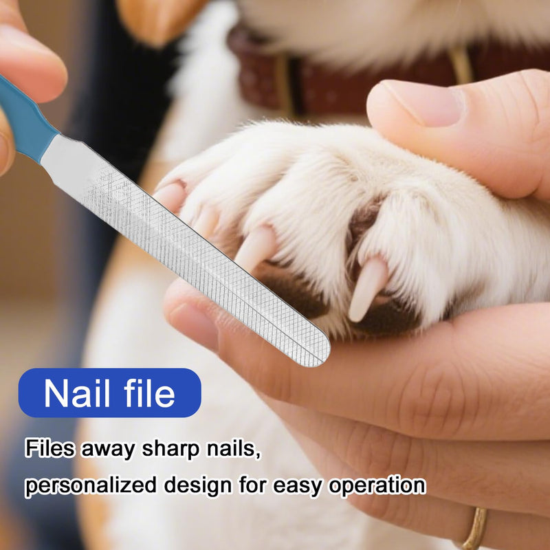 Bearded Dragon Nail Clippers and File, Stainless Steel Small Animal Toe Nail Trimmer Scissors Professional Grooming Pet Tool for Reptiles Turtle Chameleon Iguana (Blue) - PawsPlanet Australia