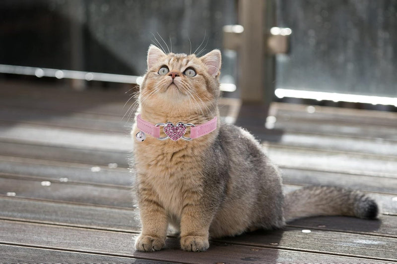 Pink Heart Bling Cat Collar with Safety Belt and Bell Adjustable 8-10 inches for Kitten Cats Quick Release Belt for Small Dogs and Cats Collars, Harnesses and Leashes - PawsPlanet Australia