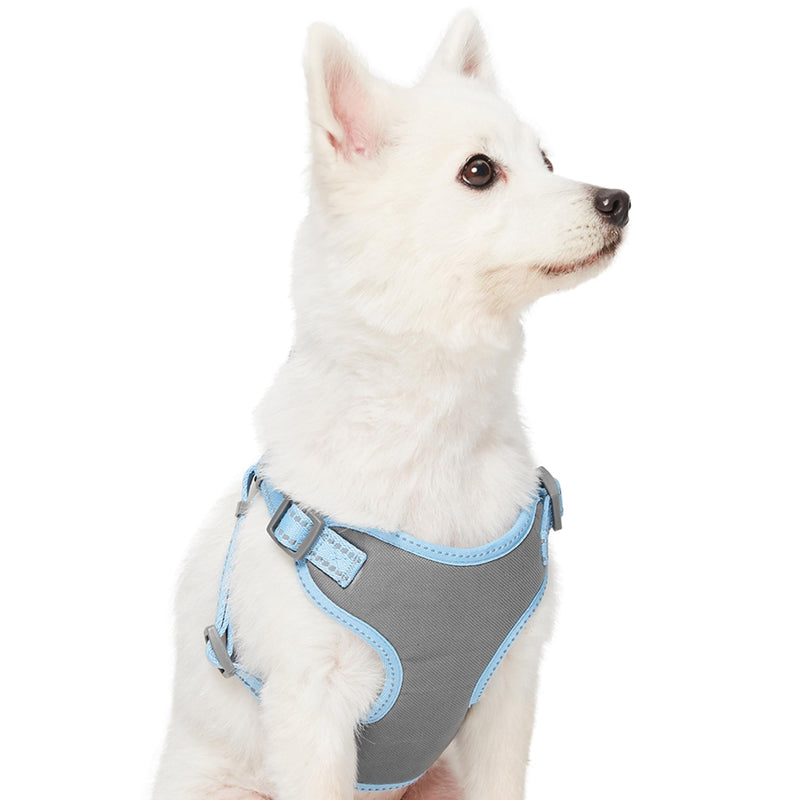 Blueberry Pet Matching Reflective Harness and Leash Set | Adjustable Pastel Vest with Lead for Dogs – Great Value Gift Set | Adjustable Baby Blue Vest for Medium Breeds - PawsPlanet Australia