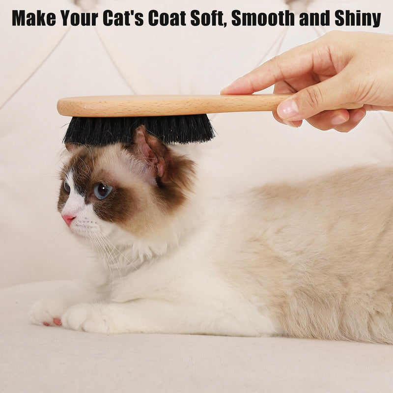 Boar Bristle Cat Brush with Wooden Handle, Soft and Gentle, Reduce Shedding, Make Coat Soft, Smooth and Shinny, Daily Grooming Tool for Short Haired Cats, Kitten Wood - PawsPlanet Australia