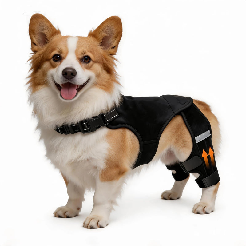 Dog Knee Braces for Torn ACL Hind Leg, Adjustable Dog Leg Braces for Back Leg with 4 Stabilizers for Luxating Patella Relieves Ligament Injury and Joint Pains