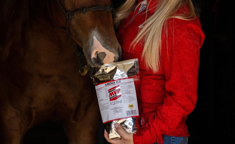 MVP Amino 15X (1.5lb) Supports Healthy Muscle Function, Development and Recovery in Horses. 1.5lb