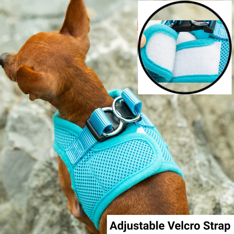 Mr. Peanut's PupTrek Small Dog/Cat Soft Mesh Step in Harness Vest (Small, Blue) - PawsPlanet Australia