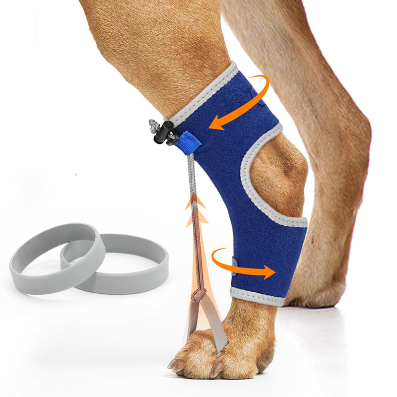 Supet Knuckling Brace for Dogs, Comfortable Foot Splint, Ankle Brace Back Leg for Toe Dragging Cause by Myelopathy, Sciatic Nerve Insufficiency & Herniated Disc (Blue, XL)