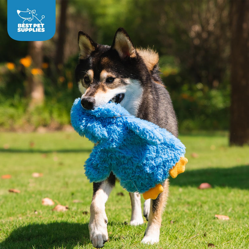 Best Pet Supplies Chicken Crinkle Plush Dog Toys for Interactive Play, Puppy and Senior Indoor Play, Colorful Chicken Toy Shape, Cute and Cuddly - Crinkle Chicken (Blue) Large Crinkle Chicken (Blue) - PawsPlanet Australia