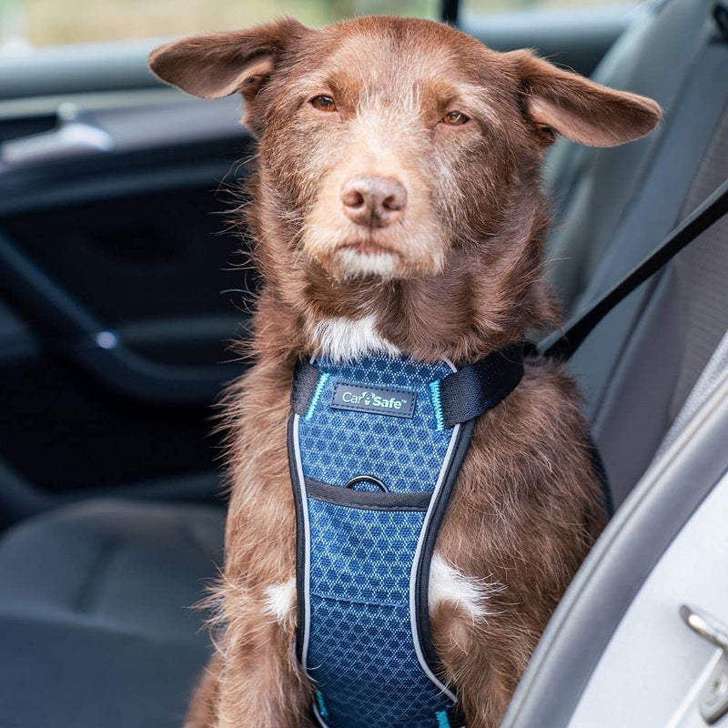 CarSafe Crash Tested Dog Safety Harness - Crash Tested to 32Kg/70lbs, Safely Secure Dog in The Car, Comfortable and Padded Design. for Toy, Small, Medium and Large Dogs (Size Small) - PawsPlanet Australia