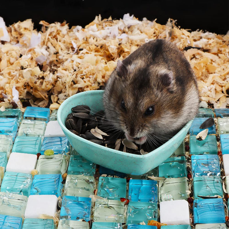 3 Pack Hamster Food Dish Small Cute Shape Food Bowl for Hamster Hedgehog Small Animals (Green, Blue and Pink)